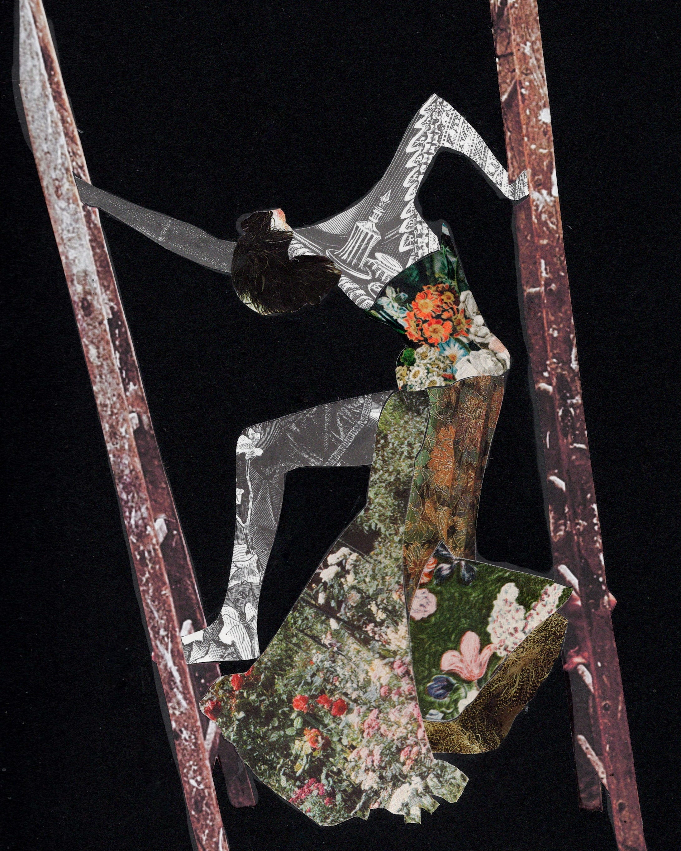 Ladder Lovely But Dead